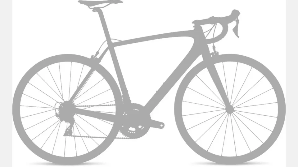 Allez Comp - Shimano 105 — geometrie