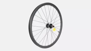 WHL MY19 CONTROL CARBON 29, REAR, TA, 12X148MM, DISC, 6-BOLT, 28H, SRAM XD FHB (HILO HUB) - SATIN CARBON (NO DECAL)