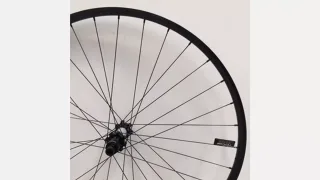WHL MY17 CONTROL 29, REAR, ALLOY, TA, 12X148MM, DISC, 6-BOLT, 32H, SRAM XD FHB (LFM03R) - BLACK W/ CHARCOAL DCL