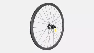 WHL MY19 CONTROL CARBON 29, REAR, TA, 12X148MM, DISC, 6-BOLT, 28H, SRAM XD FHB (DT 350 HUB) - SATIN CARBON (NO DECAL)