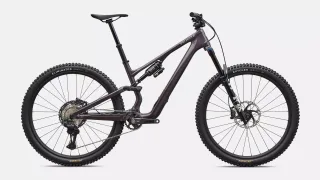 Stumpjumper 15 EVO Expert  - FACT 11m carbon, FOX Performance Elite w/ GENIE, XT Di2