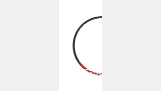 RIM MY11 CONTROL SL REAR 28H CARB/RED WITH DECALS (NO LONGER PRODUCED)