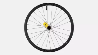 WHL MY18 CONTROL SL 29, REAR, CARBON, TA, 12X148MM, DISC, 6-BOLT, 28H, SHIMANO 10-SPD FHB (LFM02R) - SATIN CARBON W/ BLACK DCL