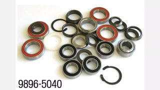MY06 EPIC BEARING KIT
