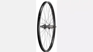 WHL KIDS 24", REAR, ALLOY, BOLT-ON, 10X135MM, RIM BRAKE, 28H, SHIMANO 8/9/10-SPD FHB